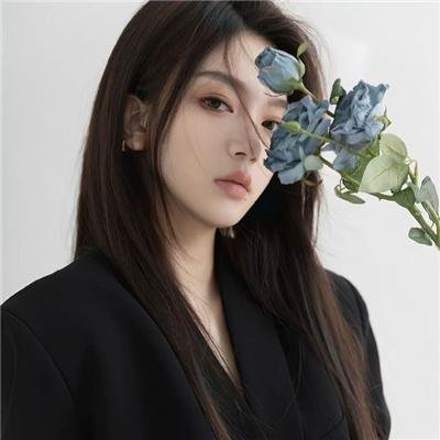 木材宝藏狗封面